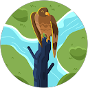 Home 18 Aryan Prajapati profile picture